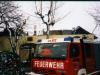 BRASTO051