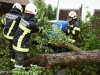 20170720-Unwetter - Baum auf Auto 02 © Wolfgang Spitzbart