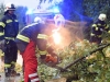 Heftige Unwetter in Oberösterreich mit umgestürzten Bäumen, Sturmschäden und Überflutungen