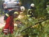 Heftige Unwetter in Oberösterreich mit umgestürzten Bäumen, Sturmschäden und Überflutungen