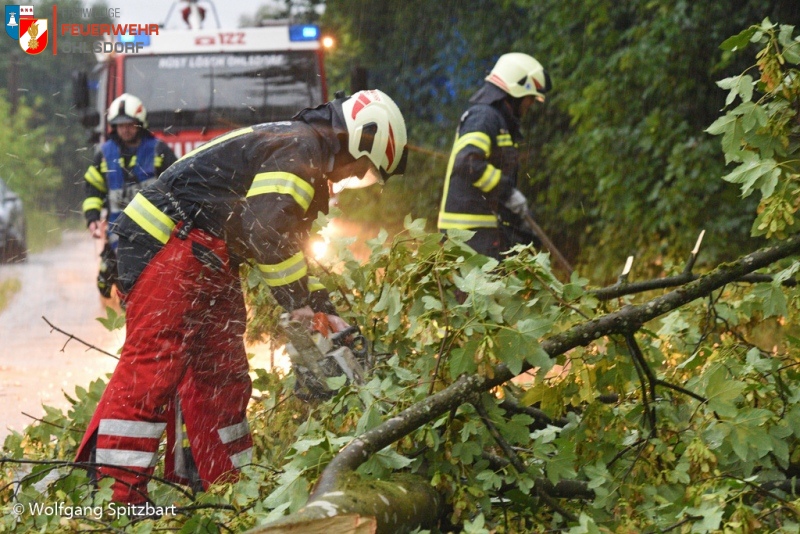 Heftige Unwetter in Oberösterreich mit umgestürzten Bäumen, Sturmschäden und Überflutungen