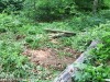 266929_MIcX9ogV