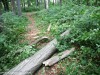 266932_K2OcQ05TYp