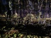 image00001