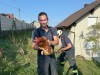 20240827_Huhn4