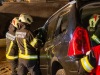Gross-20240926-IMG_0443
